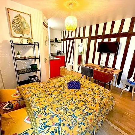 Apartmán Studio Normand En Hypercentre, Classe 3 - 127
